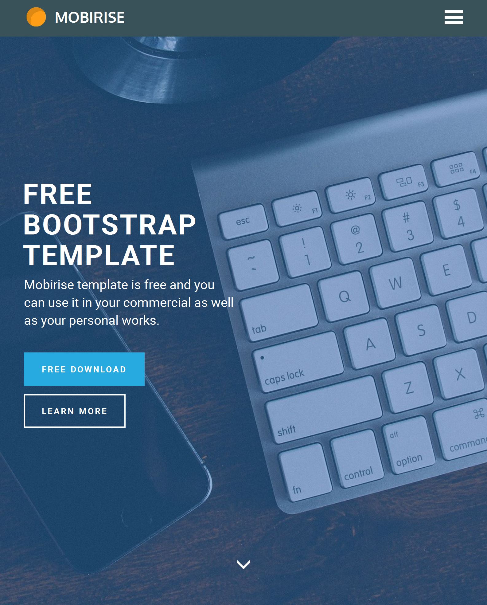 Bootstrap Website Template Download