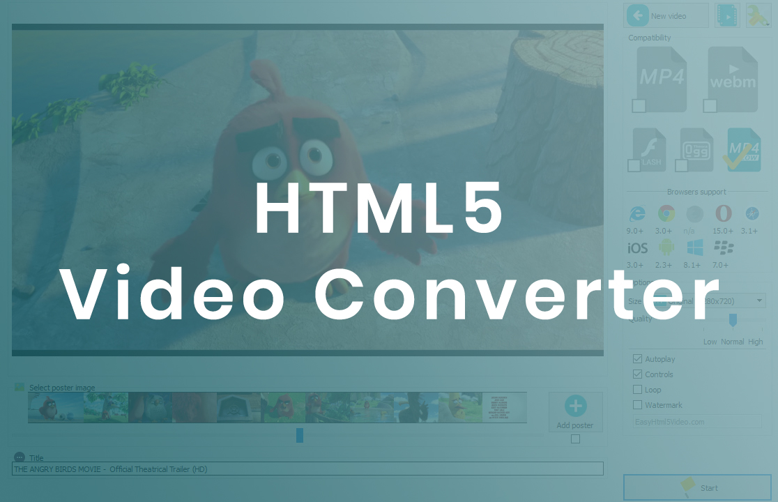 convert video to html5